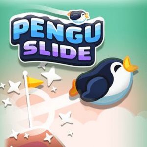 Pengu Mountain Slide