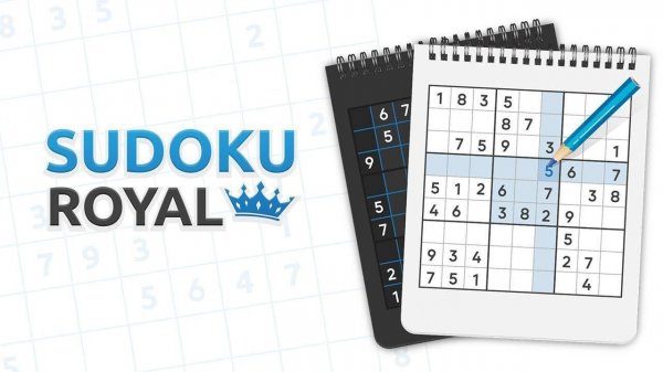 Number Grid Logic: Sudoku Challenge