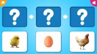 Animal Life Cycle Educational Game
