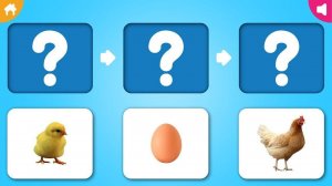 Animal Life Cycle Educational Game