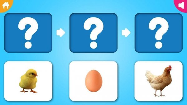 Animal Life Cycle Educational Game
