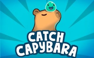Capybara 3D Puzzle Match