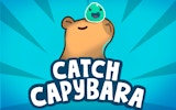 Capybara 3D Puzzle Match