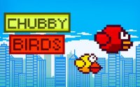 Chubby Birds: Flight Adventure