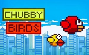Chubby Bird Flight Puzzle