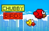Chubby Bird Flight Puzzle