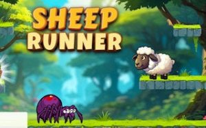 Sheep Coin Dash Runner