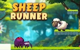 Sheep Coin Dash Runner