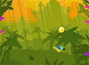 Cuboid Parrot Canopy Run